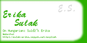 erika sulak business card